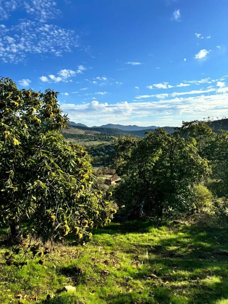 3 Días de Retiro Anti Estrés Personalizado para Renacer en Extremadura