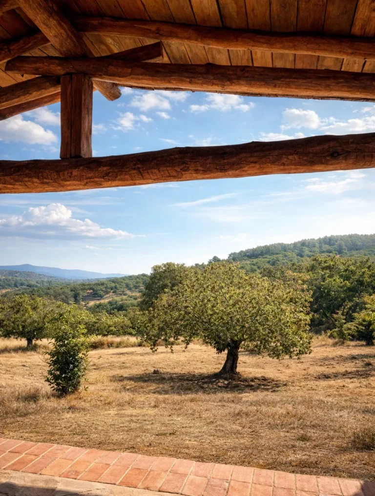 Foto para la parte de Retiros Terapéuticosen la naturaleza